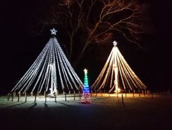 イルミネーション