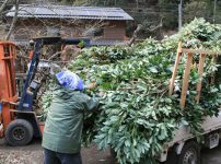 堤水車線香原料