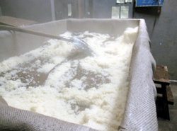 米麹を作るための米を蒸しています