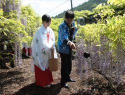 八女黒木大藤まつり　神酒召せの式典
