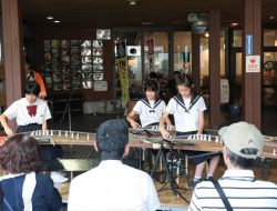 第31回 八女上陽 ホタルと銘茶まつり