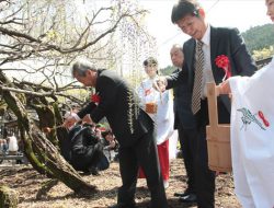 八女黒木　大藤まつり　藤の花神酒召せの式典