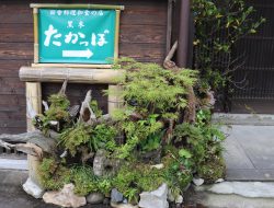 【夢みたカンパニー】福岡県八女市で田舎料理を食べるならここ！！黒木たかっぽ