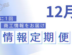 12月定期便<br>＜最低賃金・PR動画作成支援補助金 等＞