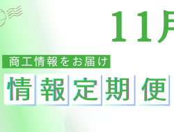 2025年11月定期便 <br>＜人手不足解消や賃上げ支援補助金・ <br>M&Aによる事業承継支援補助金等＞
